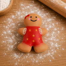 Gingerbread Squishy: Gingerbread Boy