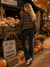 Pumpkin Script Striped Knit Sweater: BLACK/TAUPE
